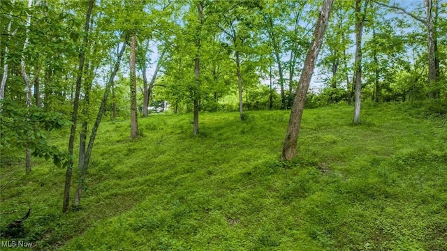 16182 Gunn Rd, Lore City, OH 43755 - photo 16