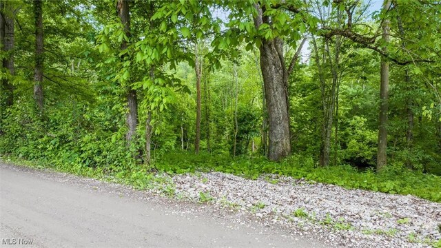 16182 Gunn Rd, Lore City, OH 43755 - photo 1