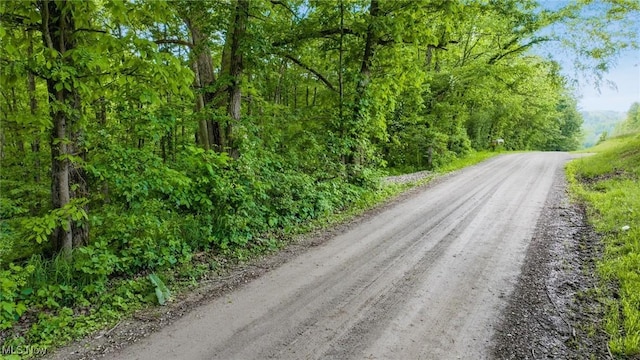 16182 Gunn Rd, Lore City, OH 43755 - photo 24