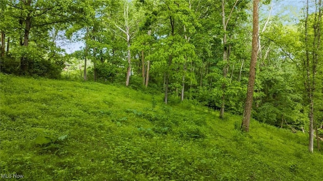 16182 Gunn Rd, Lore City, OH 43755 - photo 27