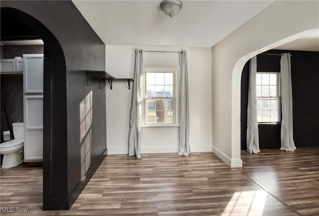 interior space with hardwood / wood-style floors and a healthy amount of sunlight