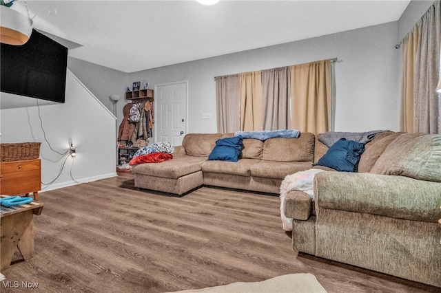 living room featuring wood-type flooring