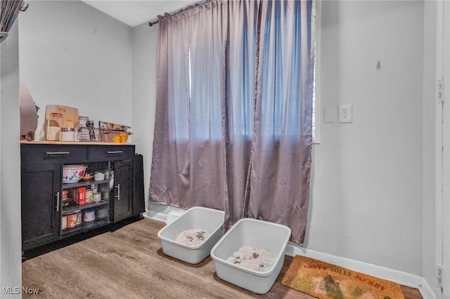 interior space featuring hardwood / wood-style floors