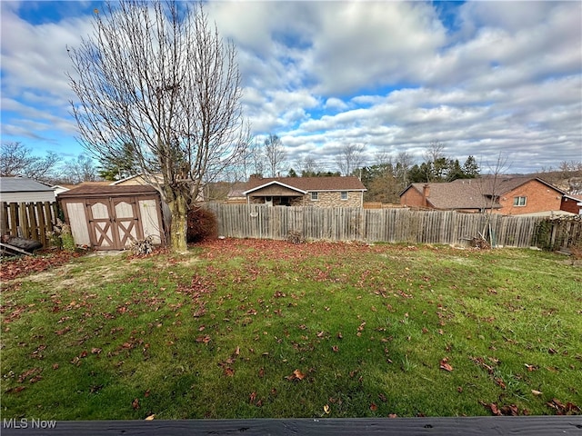 view of yard with a shed