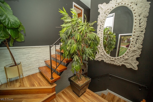 staircase featuring wood-type flooring