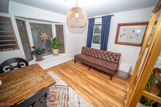 living room featuring wood-type flooring