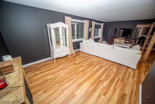 living room with hardwood / wood-style flooring and a textured ceiling