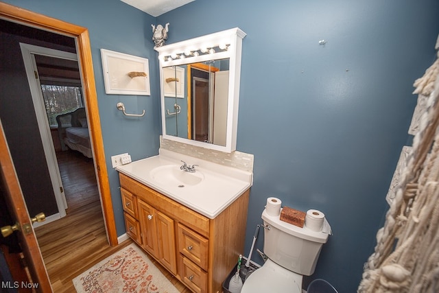 bathroom featuring vanity, toilet, and wood-type flooring