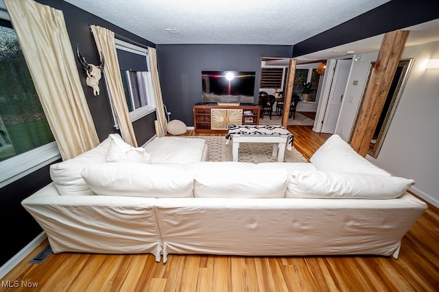 living room featuring wood-type flooring