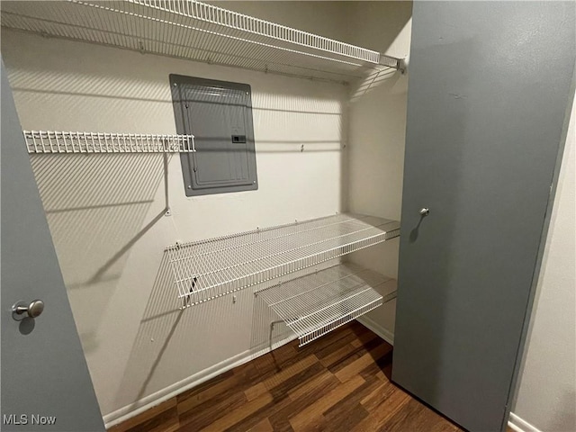 walk in closet with electric panel and dark hardwood / wood-style floors