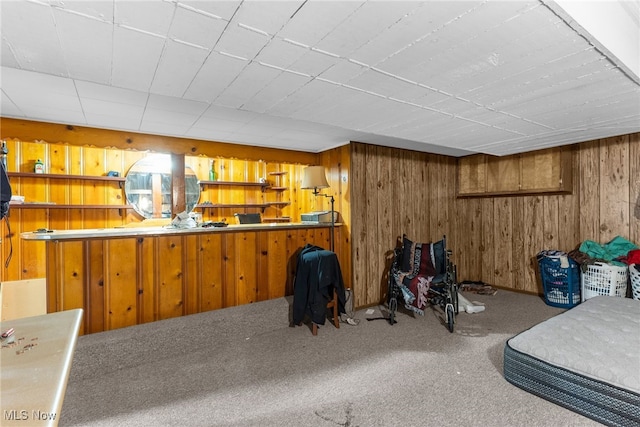 interior space with carpet flooring and wood walls