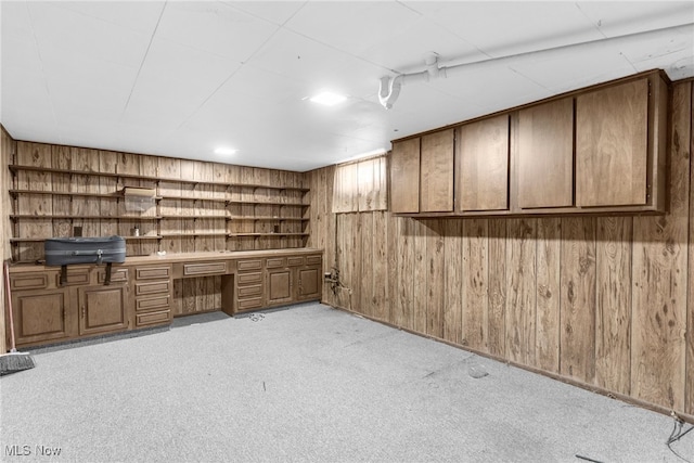 interior space featuring wood walls and light carpet