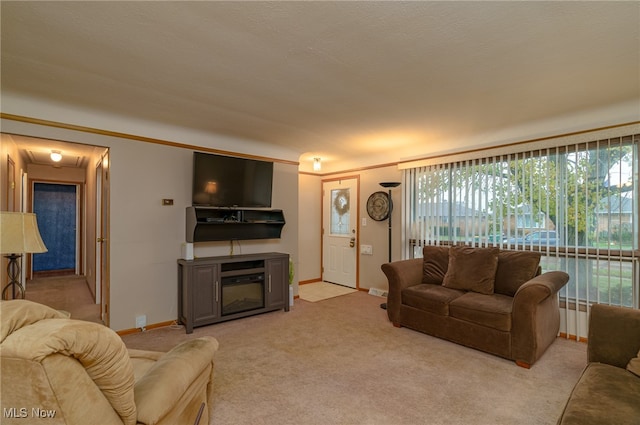 living room with light colored carpet