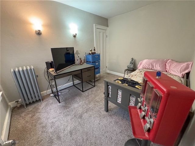 interior space with radiator heating unit and carpet