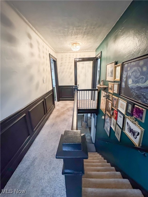 hallway with carpet floors and ornamental molding