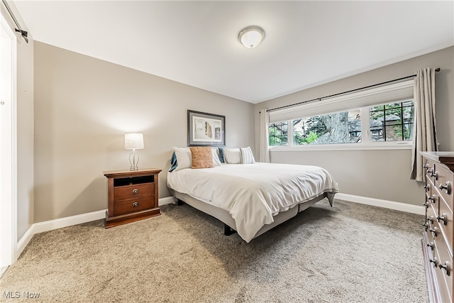 bedroom featuring carpet