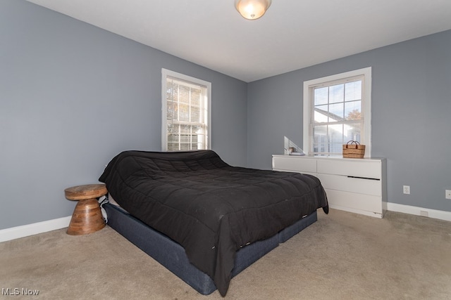 bedroom with carpet floors