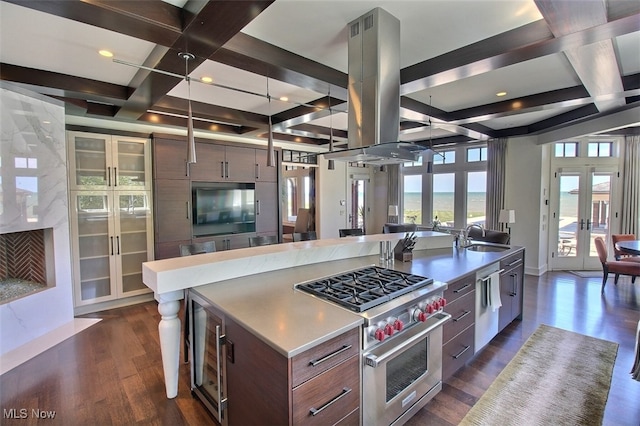 kitchen with island exhaust hood, french doors, stainless steel appliances, dark wood-type flooring, and a kitchen island