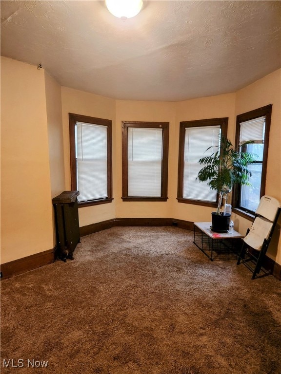 unfurnished room with a textured ceiling and carpet floors