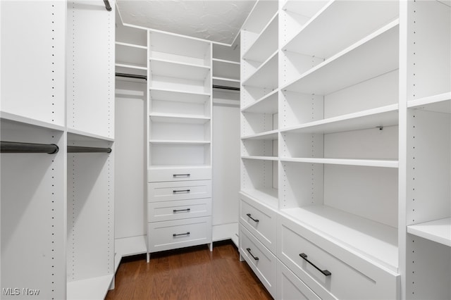 spacious closet with dark hardwood / wood-style flooring