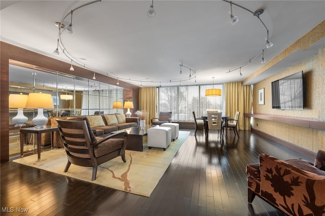 living room with hardwood / wood-style flooring and track lighting