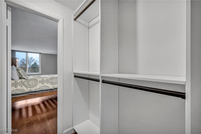 walk in closet with hardwood / wood-style flooring