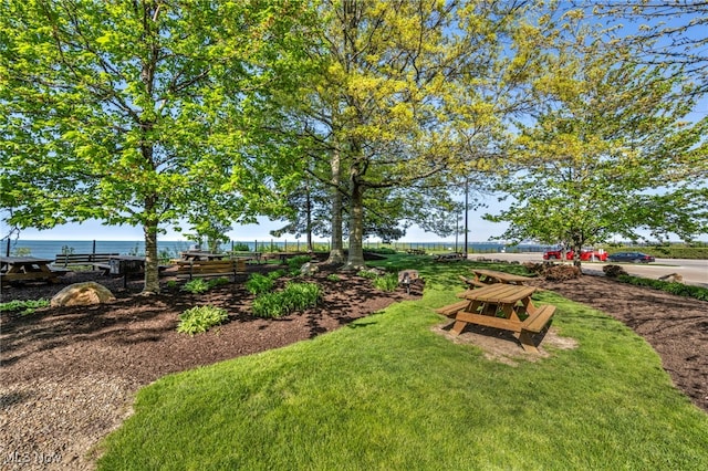 view of yard with a water view