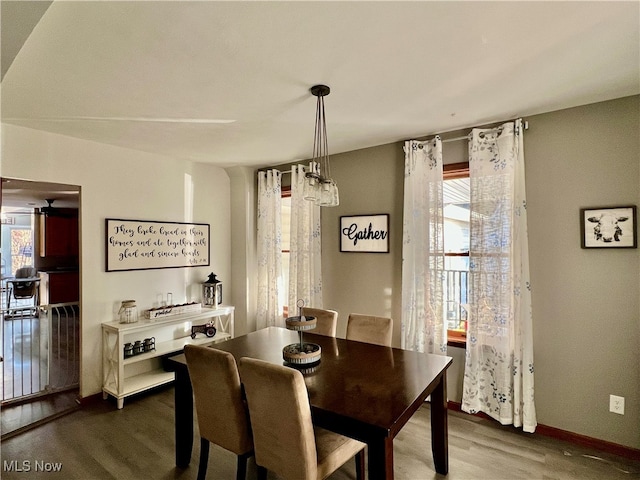 dining area featuring hardwood / wood-style flooring