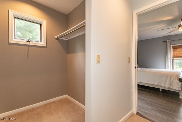 clothes washing area featuring ceiling fan and hardwood / wood-style flooring