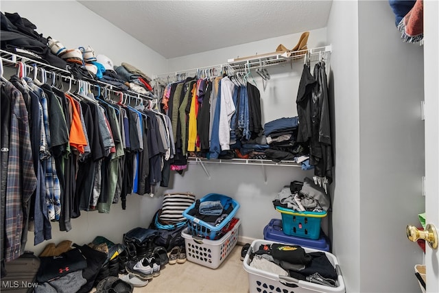 walk in closet with carpet flooring