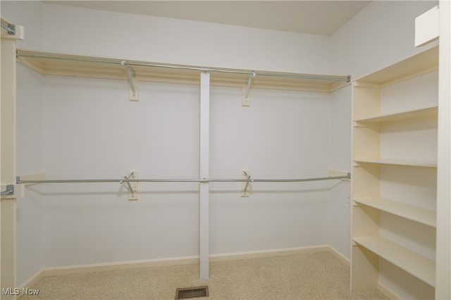 spacious closet featuring light colored carpet