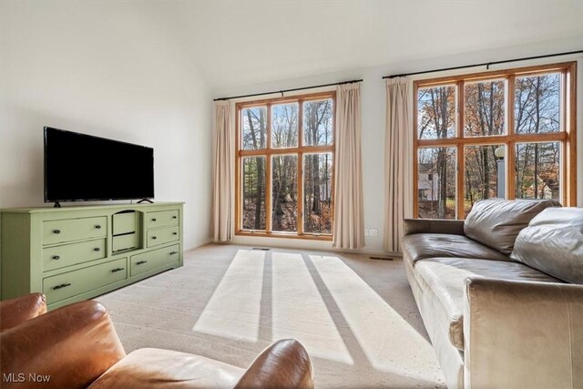 carpeted living room with a healthy amount of sunlight