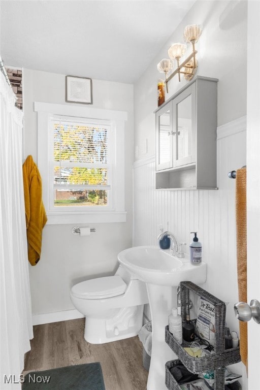 bathroom featuring wood-type flooring and toilet