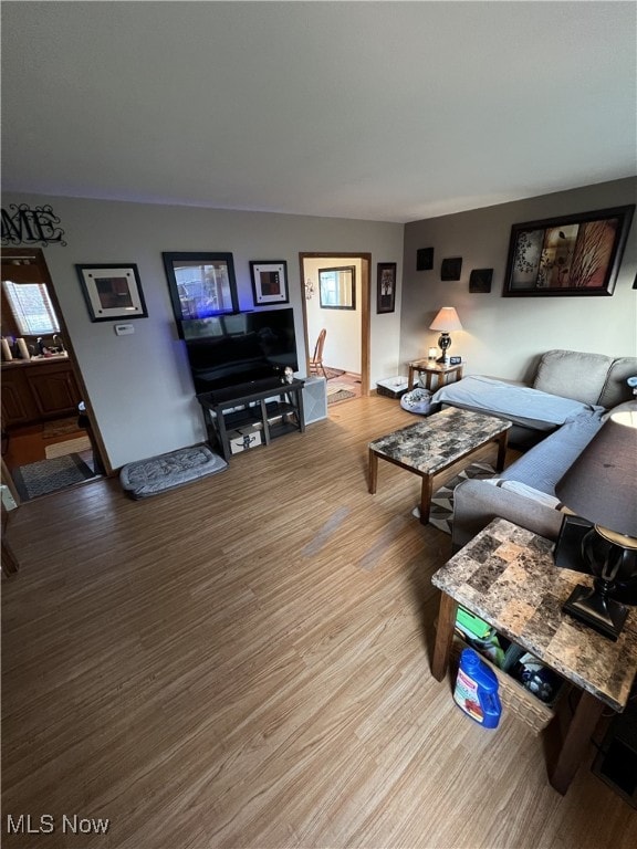 living room with light wood-type flooring