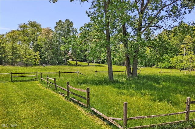 view of yard with a rural view