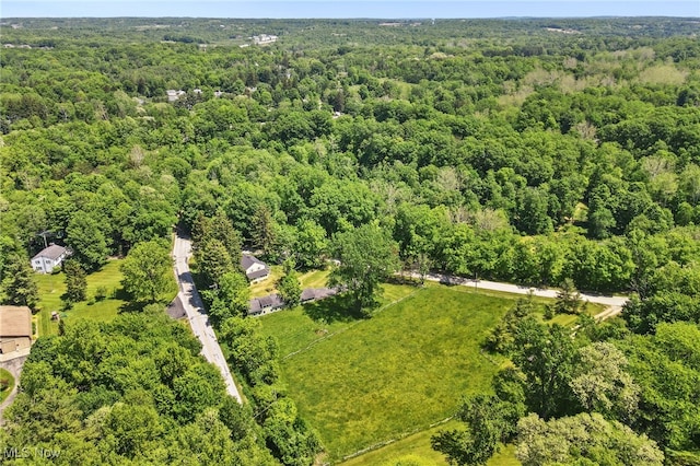 bird's eye view