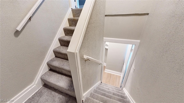 stairs with carpet flooring