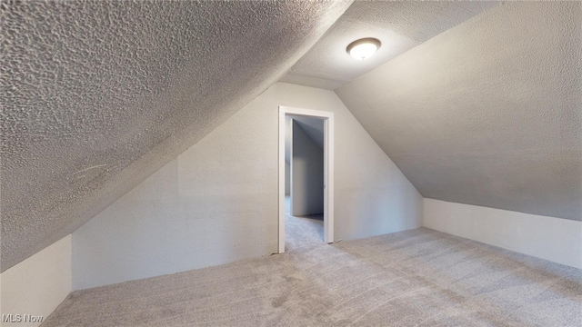 additional living space with light carpet, a textured ceiling, and lofted ceiling