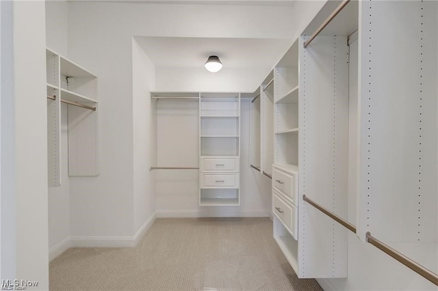 spacious closet featuring light colored carpet