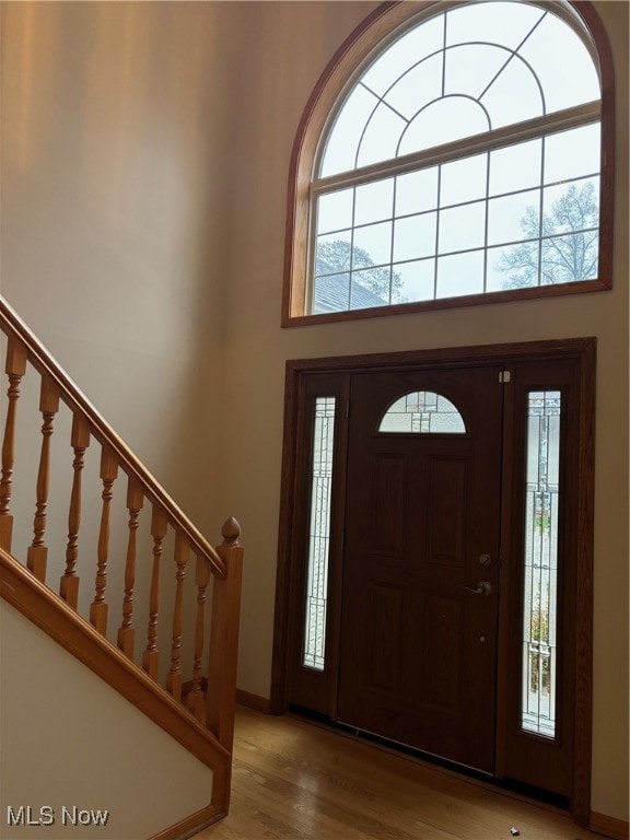 foyer with plenty of natural light, wood-type flooring, and a high ceiling