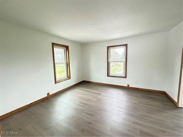 spare room featuring wood-type flooring