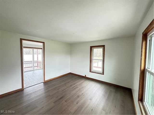 spare room with dark wood-type flooring