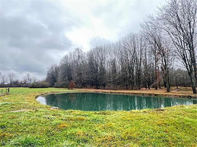 view of water feature