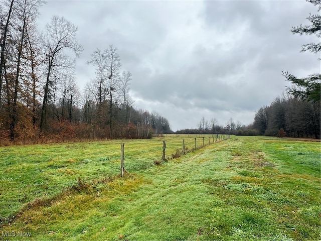 view of yard with a rural view