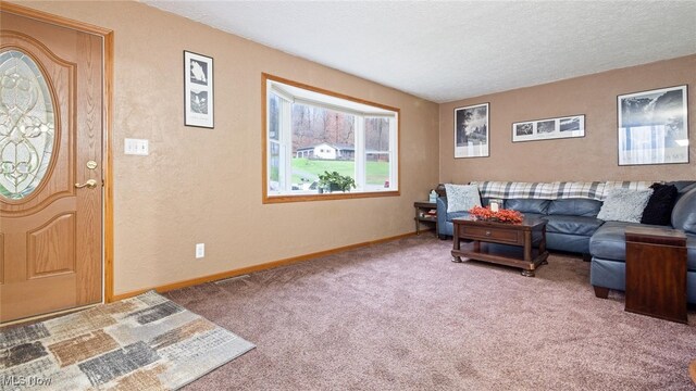 carpeted living room with a textured ceiling