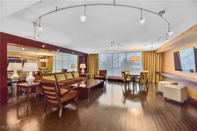 living room featuring rail lighting and dark wood-type flooring