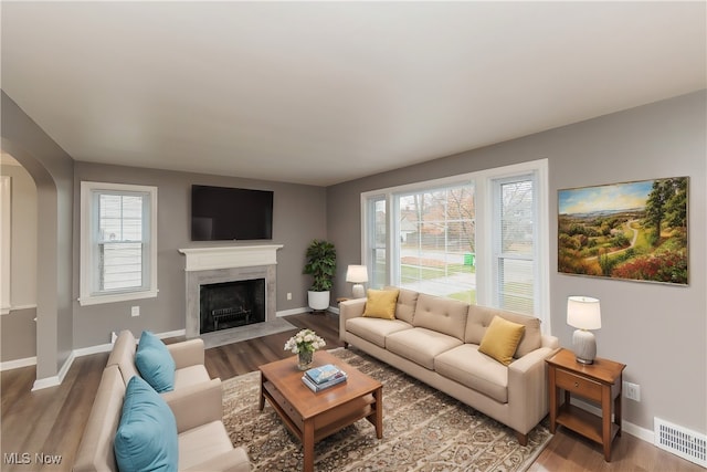 living room with wood-type flooring and a wealth of natural light