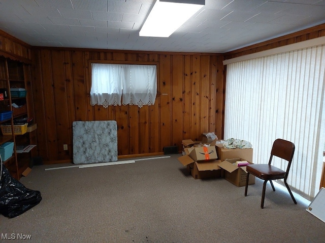 sitting room with wood walls and carpet floors