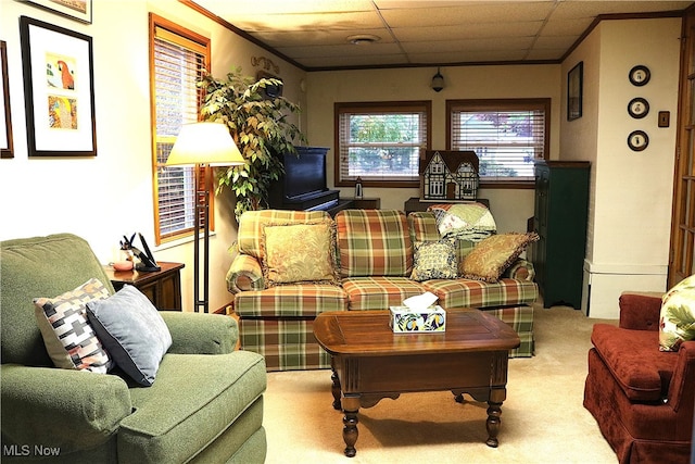 living room with light carpet and a drop ceiling