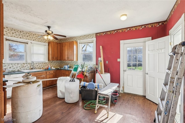 kitchen featuring a wealth of natural light, sink, and dark wood-type flooring